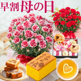 楽天市場 花 観葉植物 人気ランキング1位 売れ筋商品 楽天市場 花 観葉植物 人気ランキング1位 売れ筋商品
